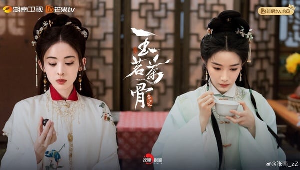 《玉茗茶骨》開播攻佔熱搜！全員大女主爽感滿點，侯明昊腹黑書生人設超心動