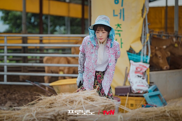 近期Netflix韓劇網播量排行榜！《偶像瘋子》第3，張基龍《一吻爆炸》第2，冠軍很上癮