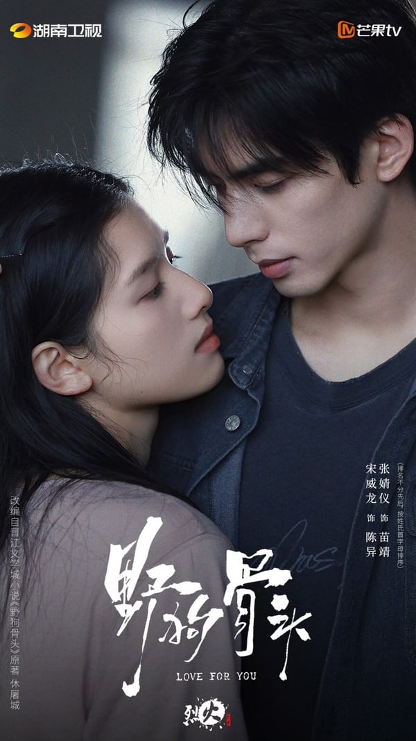 《驕陽似我》主演們下部待播劇！