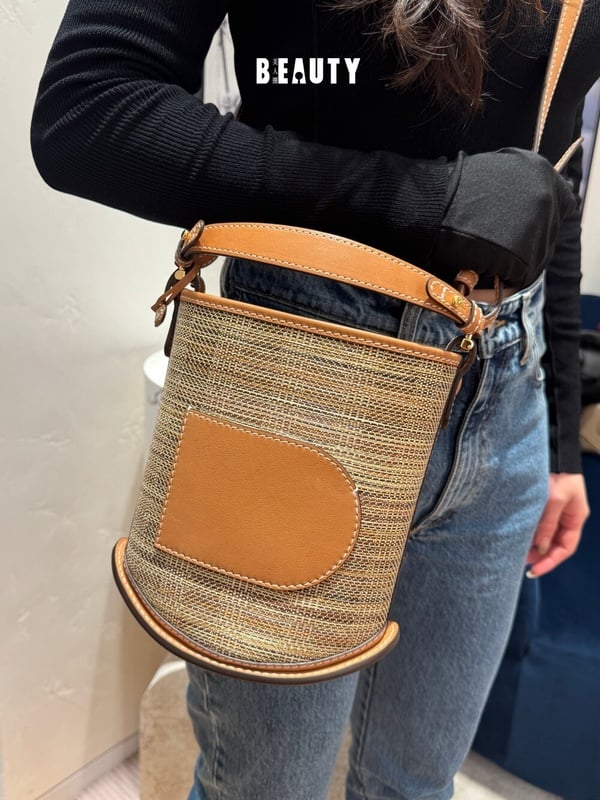 2026新包推薦：Delvaux Pin Mini Bucket