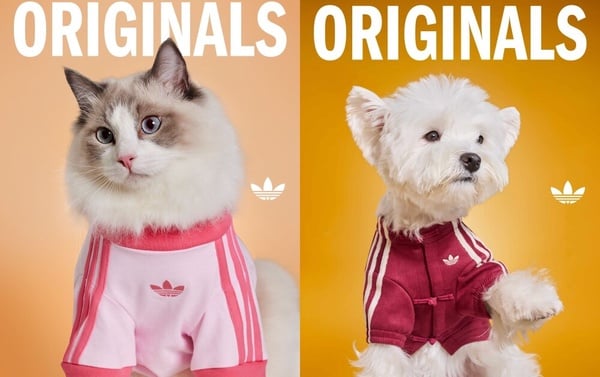 adidas Originals 三葉草寵物系列販售資訊