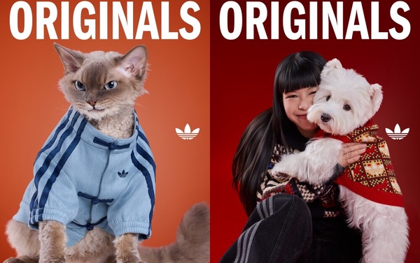 adidas Originals 「新年限定」寵物系列亮點：
