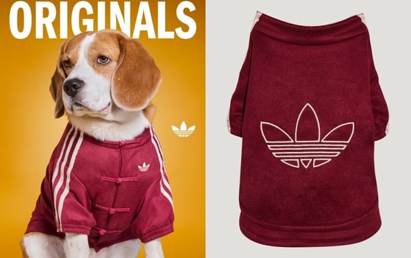 adidas Originals 三葉草寵物系列販售資訊