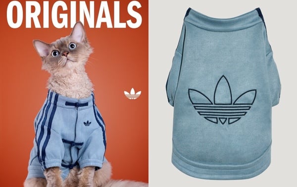 adidas Originals 三葉草寵物系列販售資訊