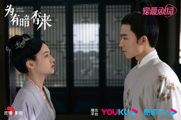 《為有暗香來》是一部主打重生的古裝劇，原著小說其實是宮鬥，為皇帝、王爺、權相之女等人的愛恨糾葛，劇版才改成宅鬥，因此一些邏輯變得有些說不通。不過劇情爽度高，女主華淺完全不戀愛腦，還帶有一點心機惡女屬性，大開金手指，很痛快！雖然結局爛尾，評價下跌，但前半段真的不錯，已經贏過一大半又長又冗的無聊古偶了！