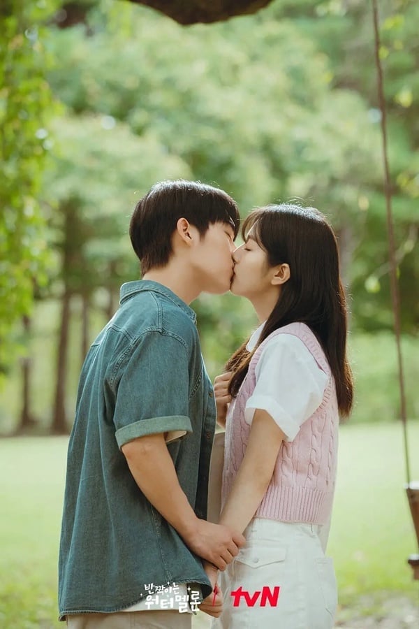 《愛情怎麼翻譯》食之無味棄之可惜？6部「不看是浪費Netflix」超好看韓劇！這部零負評