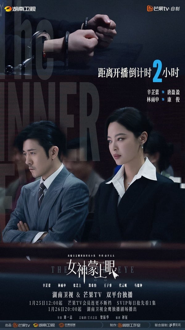 《女神蒙上眼》劇情看點＆角色介紹：辛芷蕾首部大女主律政劇，與林雨申上演雙強交鋒！