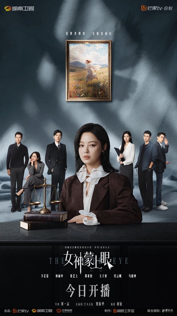 《女神蒙上眼》劇情看點＆角色介紹：辛芷蕾首部大女主律政劇，與林雨申上演雙強交鋒！