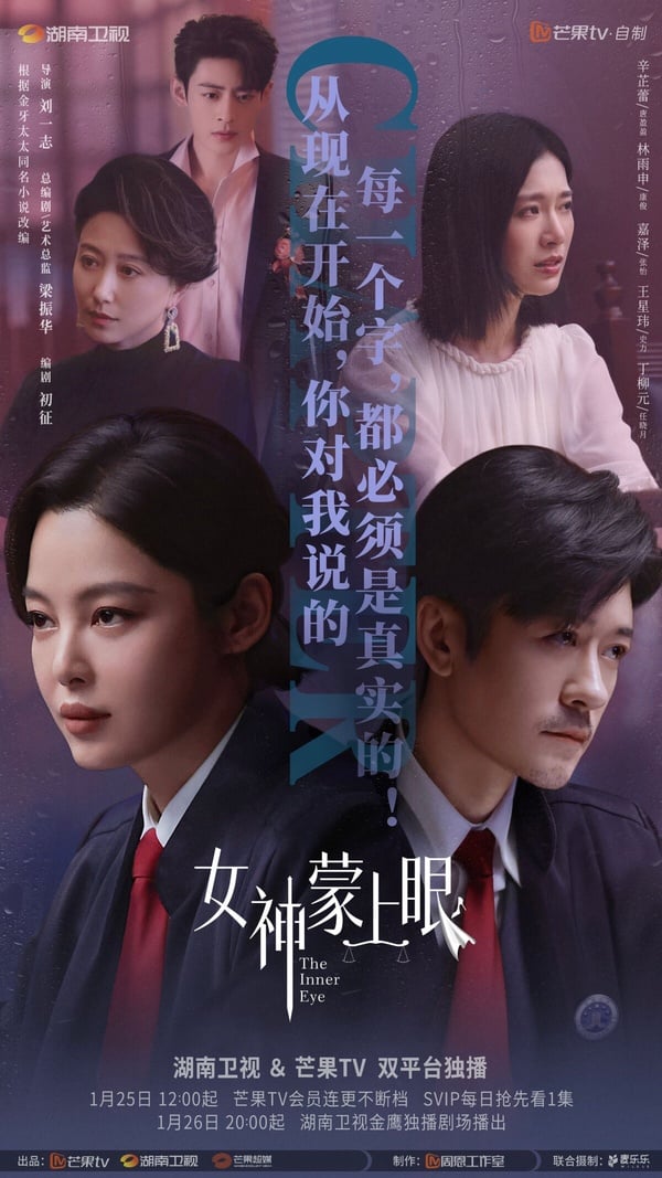 《女神蒙上眼》劇情看點＆角色介紹：辛芷蕾首部大女主律政劇，與林雨申上演雙強交鋒！
