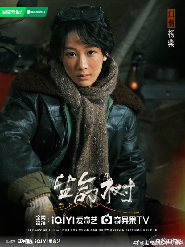 楊紫《生命樹》劇情看點&amp;amp;amp;amp;amp;amp;amp;amp;amp;amp;amp;角色介紹