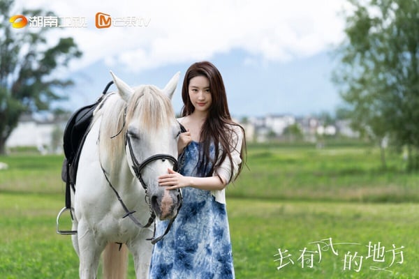 劉亦菲近年推出的陸劇都是高質感，這部《去有風的地方》口碑也很高！豆瓣評分8.8，是近年的愛情劇天花板。講述許紅豆到雲南大理旅遊，邂逅了放棄高薪工作回鄉創業的謝之遙，結識了各種不同人們的故事。