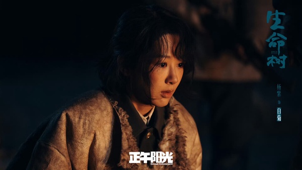 楊紫《生命樹》開播評價！