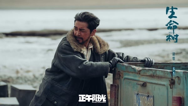 楊紫《生命樹》開播評價！