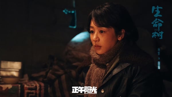 楊紫《生命樹》開播評價！