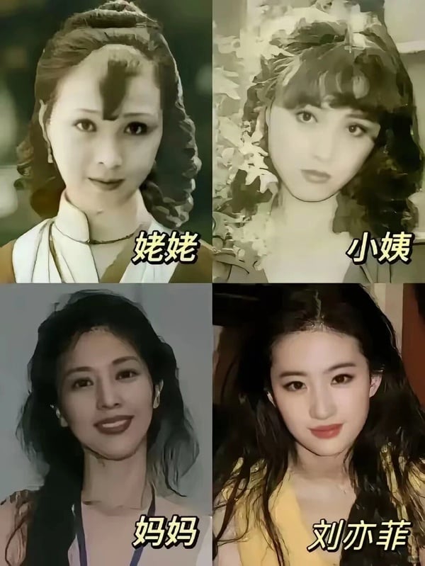 劉亦菲家境也很好，據傳劉亦菲祖輩都是黨籍幹部，父親是法文系教授，曾擔任中國駐法國大使館教育處一等秘書。不過後來父母離異，作為舞蹈演員的母親改嫁給華人律師，也讓劉亦菲取得美國國籍。