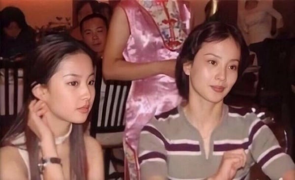 劉亦菲家境也很好，據傳劉亦菲祖輩都是黨籍幹部，父親是法文系教授，曾擔任中國駐法國大使館教育處一等秘書。不過後來父母離異，作為舞蹈演員的母親改嫁給華人律師，也讓劉亦菲取得美國國籍。