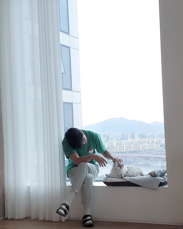 整個世界都正變成「貓咪」的形狀！數據解密：為什麼養貓的人變多了？