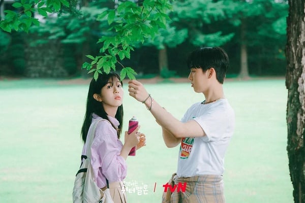 《恩愛的盜賊大人》結局圓滿！5部「很好看但就是不紅」的韓劇！