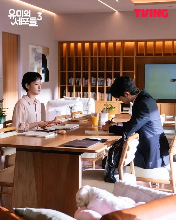 《莎拉的真偽人生》演員近況！申惠善二搭羅人友，李浚赫成頭獎得主，他變身金高銀老公