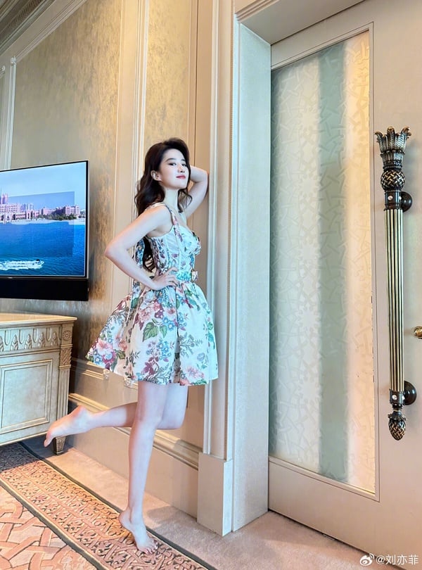 劉亦菲真的是老天賞飯吃的美女，皮相、骨相極佳，身高還有170公分，根本所有上鏡吃香的條件，都在劉亦菲身上了！！劉亦菲不只古裝好看，戲外穿上時裝也是衣架子。