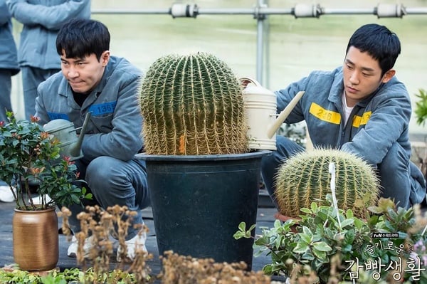 Threads熱議Netflix必推神劇韓劇TOP6！金宣虎《愛情怎麼翻譯》第2，冠軍真超越不了！