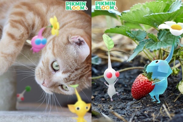 皮克敏在紅什麼？Pikmin Bloom掀「走路種花」熱潮，結合日常生活的零壓力手遊超療癒！