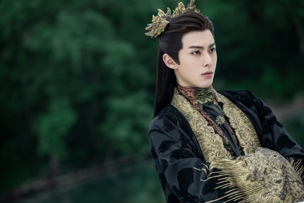 王鶴棣是非常幸運的一位，出道作品就是熱門劇《流星花園》的男一號，雖然這部劇評價很差，但依然捧紅王鶴棣，連先竄起的沈月的發展都不如他，更不用說F4裡的另外三位，王鶴棣的資源是當中最好的，出道首作就是男主，連拍了六部劇都是男一號，沒演過配角戲。