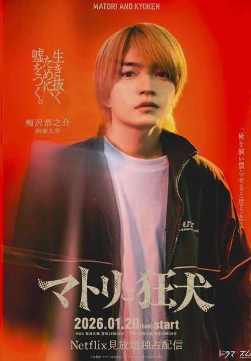 2026 Netflix 日劇推薦20部！新田真劍佑《航海王2》回歸、玉澤演《靈魂之伴》必追！