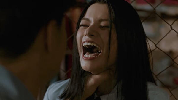 Netflix台灣觀看排行TOP10！《莎拉的真偽人生》第4，《訂閱男友》第2，冠軍超火必追！