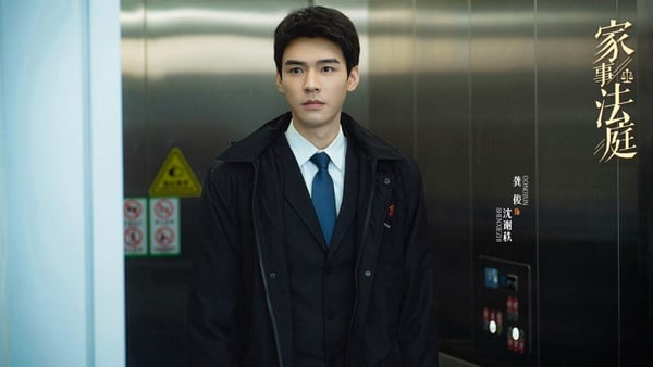 《家事法庭》是龔俊難得嘗試的現實向題材，龔俊飾演年輕法官沈謝秩，他和任敏飾演的律師秦睿在法庭上解決一樁樁案件。《家事法庭》劇裡探討的案件都不是什麼驚天動地的大案，而是一地雞毛的家事，案子很寫實，但故事基調不會很沉重，反而有狗血也有趣味。