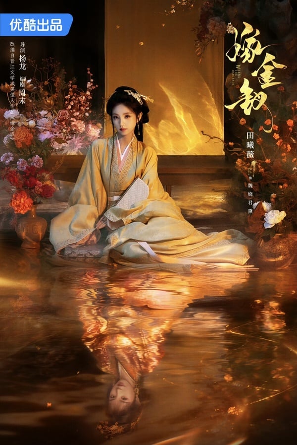 田曦薇《嫁金釵》劇情看點&amp;amp;amp;amp;amp;amp;amp;amp;amp;角色介紹