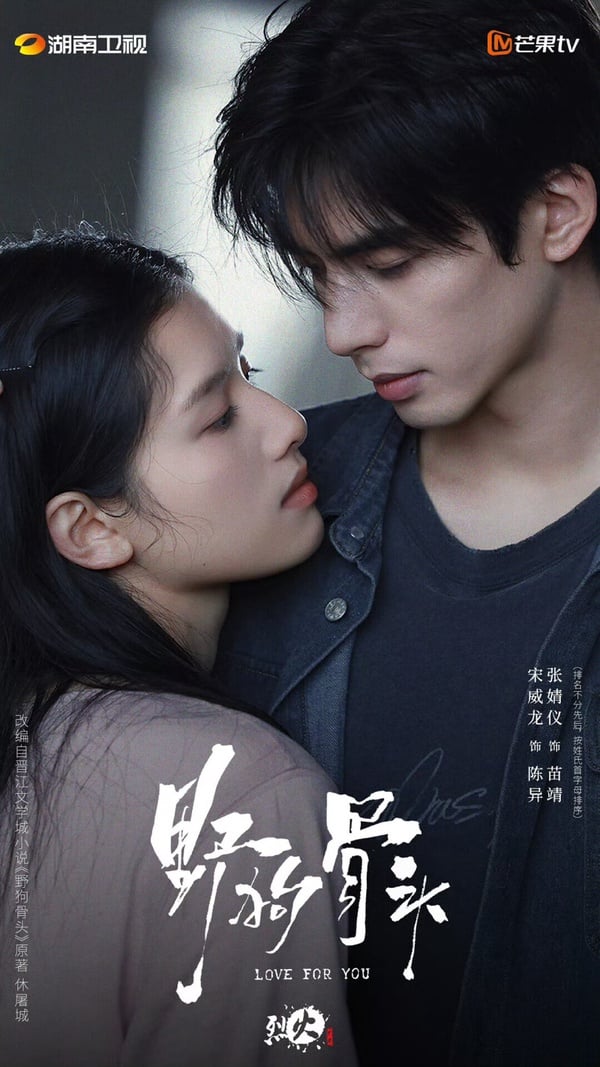 張婧儀這幾年發展確實不錯！雖然沒有大爆火，但張婧儀主演不少口碑陸劇，近年搭檔陳飛宇演了《點燃我，溫暖你》，搭檔肖戰演了《藏海傳》，都是收視、口碑堅顧的好劇。