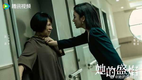 《她的盛焰》是一部女性復仇劇，三年前，數學天才饒雨瓷被閨蜜兼創業合夥人白靚靚設計，被冠上「藥物成癮襲擊母親」的罪名，強制送進了治療中心。而白靚靚靠賣掉兩人創辦的公司，成為厲森集團的高管。三年後，饒雨瓷病癒出院，她誓要揭下白靚靚的偽善面具，讓她的惡行無所遁形……