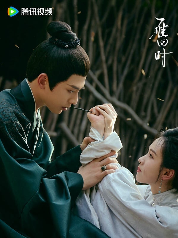 《雁回時》主打重生宅鬥，不過這部劇也有先婚後愛的設定。講述莊寒雁從小被棄養至南方鄉下，輾轉重回京城莊家，引起了大理寺少卿傅雲夕的注意。傅雲夕身患奇症，意圖求娶一位德才兼備的妻子以託付親朋，莊寒雁成為他的最佳人選。兩人在互相試探周旋的過程中愛上彼此，聯合揭穿了莊家家長莊仕洋的罪惡行徑。