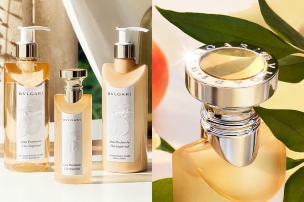 不暈香！2026適合夏季香水推薦＋網友評價一次看，寶格麗、YSL、阿蒂仙之香最新香水