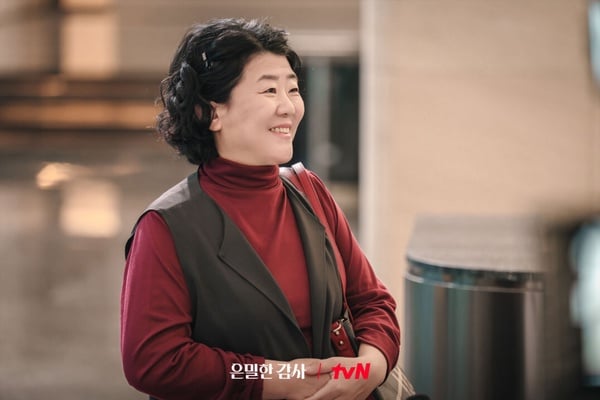 申惠善《秘戀稽核中》收視開紅盤！網評5大必追理由：演員演技無懈可擊、台詞淺顯易懂