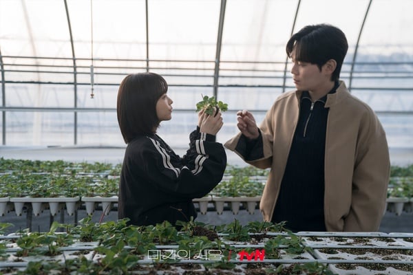 金高銀《柔美的細胞小將3》結局圓滿！7部沒爛尾「好看到欲罷不能」韓劇！它是公認神劇