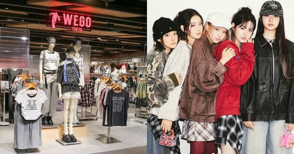 Wego台灣首間店登場！必買單品推薦