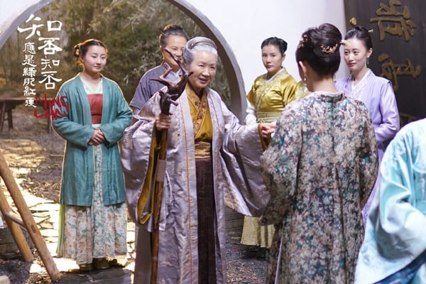 趙麗穎主演的《知否知否應是綠肥紅瘦》是近幾年的相當成功的經典古裝劇，它改編自關心則亂的同名小說，劇情聚焦在家宅內鬥，沒有曲折的劇情、沒有狗血的場面，卻用緩慢的步調講述有內涵的故事。