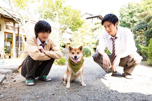 Netflix《靈魂之伴》太狗血？網推10部人生必看BL劇！《語意錯誤》、《逆愛》不看可惜