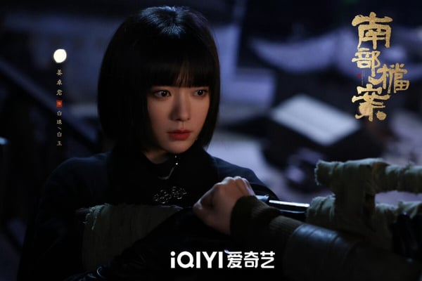 丁禹兮 《南部檔案》開播評價