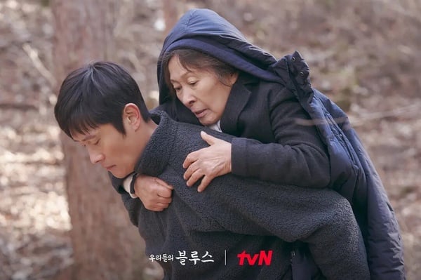 端午連假必追10部Netflix超好看韓劇！《鐵拳教育》《王室死對頭》必追，這部確實上癮