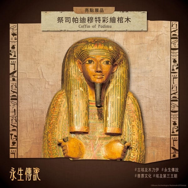 2026暑期展覽&amp;amp;快閃店一次看！圓潤的魔法波特羅特展、櫻桃小丸子特展、史努比夏日快閃