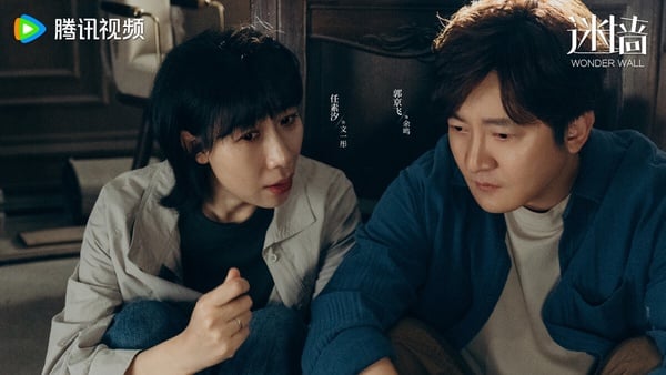 《迷牆》落榜前十名。《迷牆》以天將橫財為主題，還找來郭京飛、任素汐等實力派演員。題材其實滿新鮮，然而觀眾本來以為能看到花錢的快樂、藏錢的刺激，但《迷牆》不想走爽劇路線，被認為既不夠爽快，又不夠深刻，劇集評價普普。