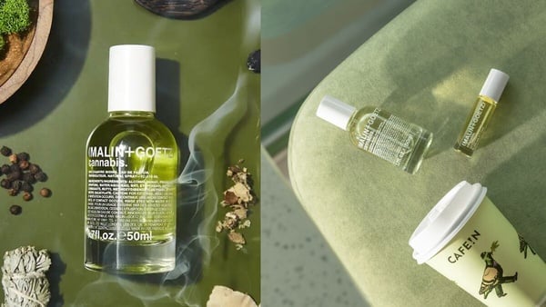 夏季平價「中性香水」推薦