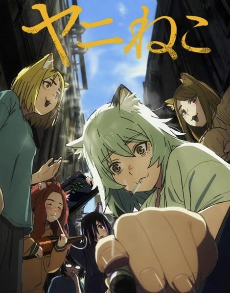 10部近期「錯過可惜」Netflix動畫！《相反的你和我》必追，第3部不紅但是隱藏神作！