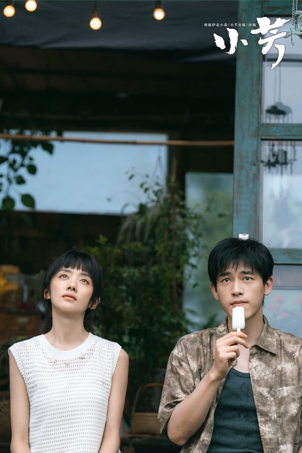 《小芳》是一部鄉村偶像劇，講述楊小芳與同村青年祁小偉戀愛，未婚先孕。結婚前兩家談崩，怎奈肚子裡的孩子即將出世，小芳不知何去何從……小芳被「甩」的消息傳了出去。很快，媒人們踏破門檻，方圓幾十裡的光棍不介意小芳有孕在身，搶著接盤。小芳眼看臨盆，是跟小偉重修舊好？還是嫁與他人？她身邊之人似乎都有難言之隱……