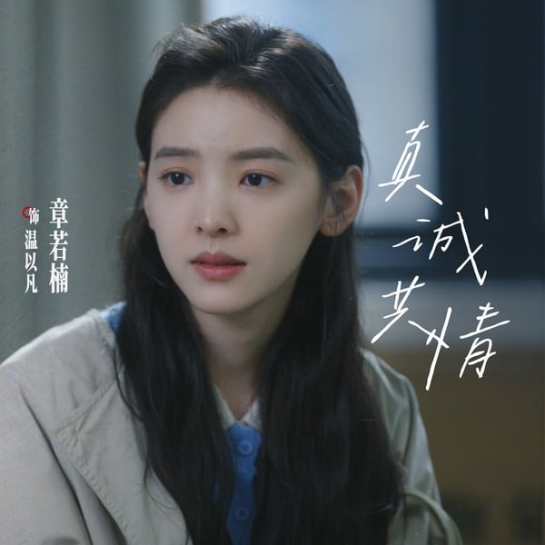 章若楠近年以《難哄》竄火，是觀眾心中的高顏值小花。不過章若楠演技評價比較兩極，有人覺得章若楠演得很自然，但也有人覺得她的演技生澀僵硬，表演方式從早年的《悲傷逆流成河》、《你的婚禮》到《難哄》都差不多。