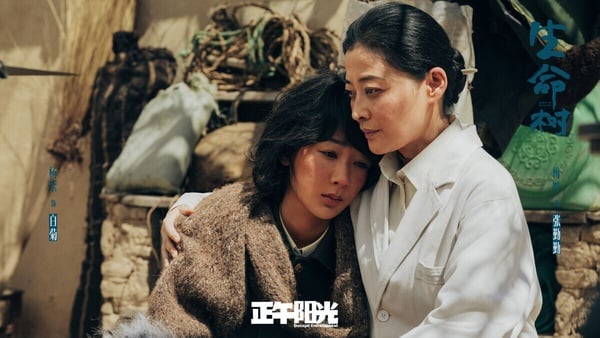 《生命樹》是超強黃金陣容，找來楊紫、胡歌搭檔，而且是《瑯琊榜》其中一位導演及正午陽光出品，班底完全是最高等級。《生命樹》口碑很好呢！豆瓣開出8.4的高分，角色群像立體，但或許是因為陣容真的太堅強，開播前又拉高了期待，《生命樹》播出後收視沒有特別突出，因此就有網友認為《生命樹》收視不如預期。