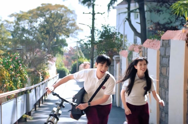 《天才女友》劇情、角色、評價一次看：田曦薇胡一天雙學霸久別重逢，校服到婚紗超甜！
